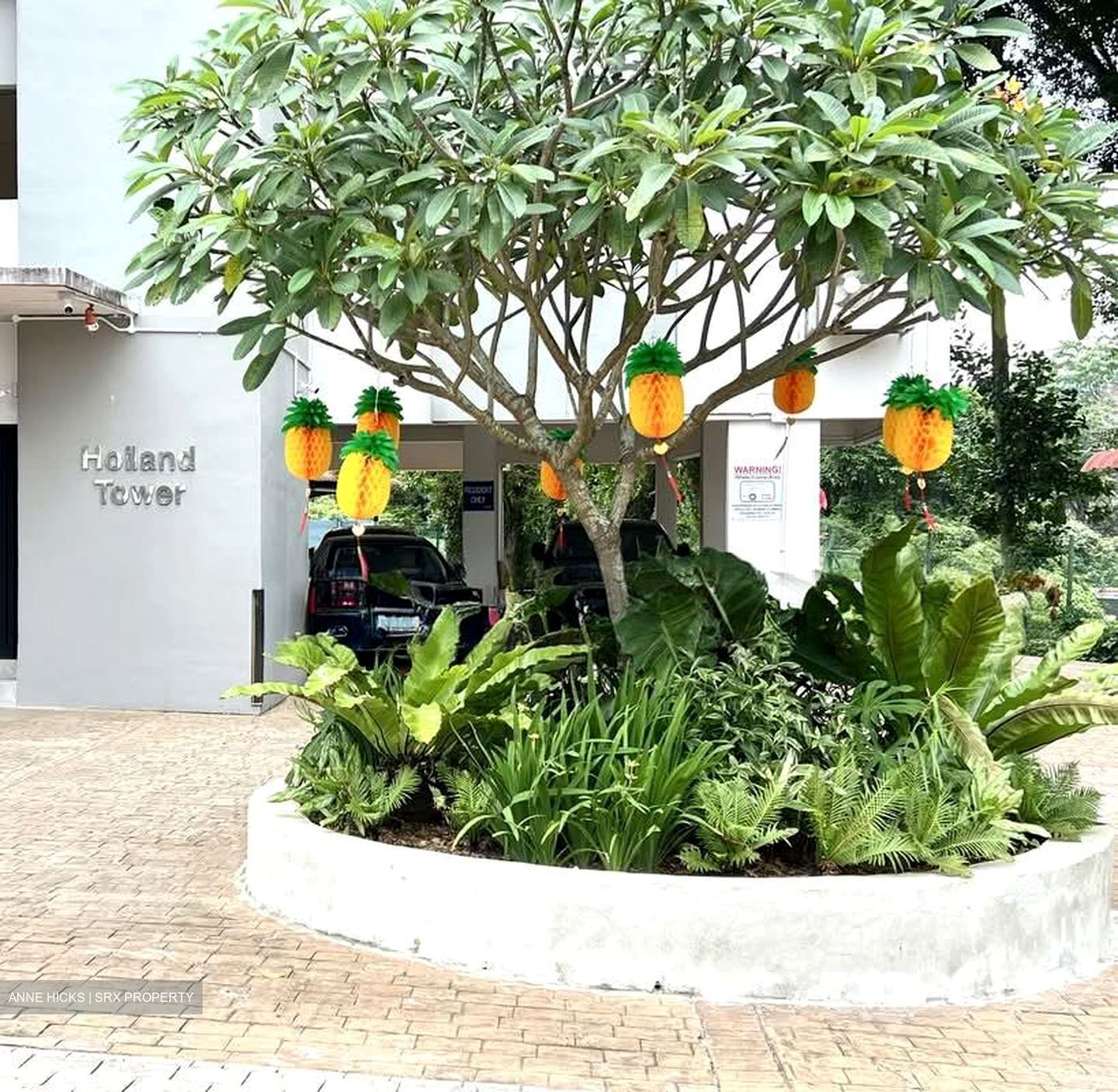 Holland Tower (D10), Apartment #547079421